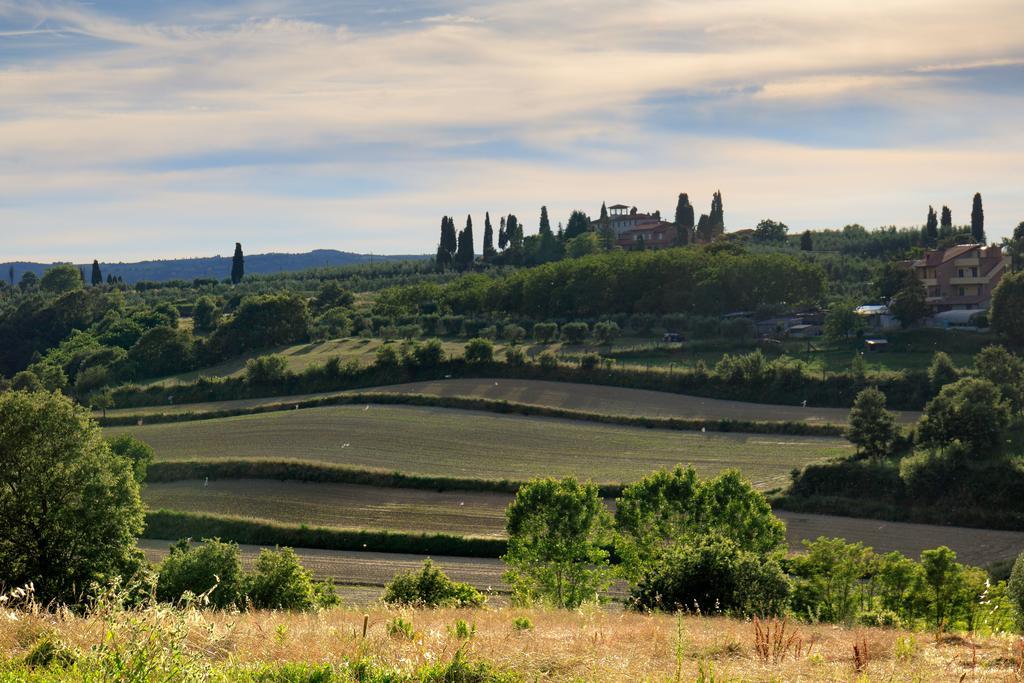 Selva Degli Ulivi Vendégház Foiano Della Chiana Kültér fotó